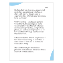 Load image into Gallery viewer, generated-preview-0